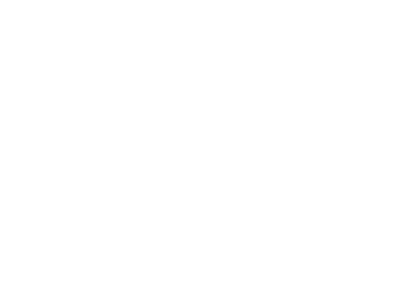 兴银数科 logo